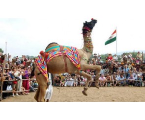 Pushkar Fair