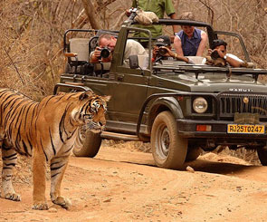 /mansupport/TourPackage/Same Day Jaipur Ranthambore Tour