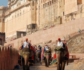 /mansupport/TourPackage/Same Day Jaipur Tour